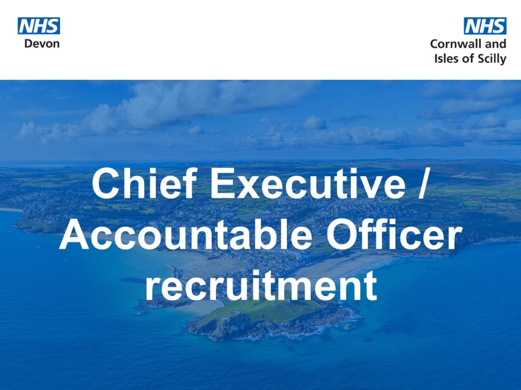 Chief Executive / Accountable Officer recruitment